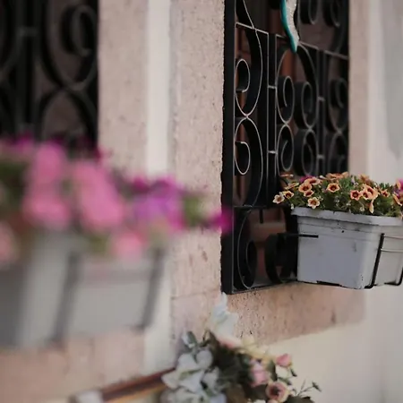 Palacitta Ξενοδοχείο Ayvalı